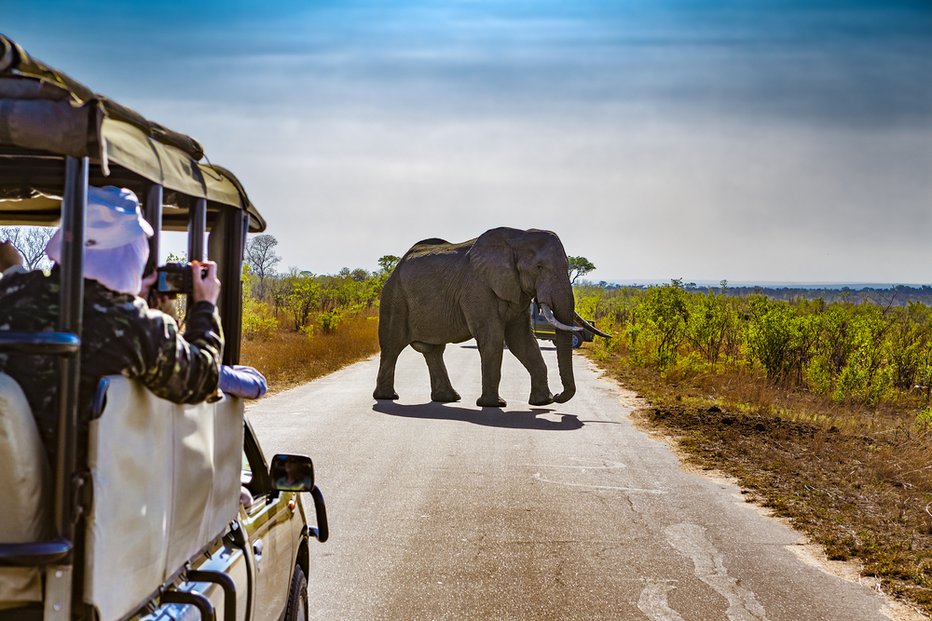 Fotografija: Južna Afrika. FOTO: Shutterstock