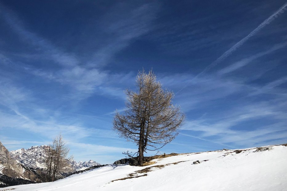 Fotografija: Vreme bo povsem spomladansko. FOTO: Jure Eržen, Delo