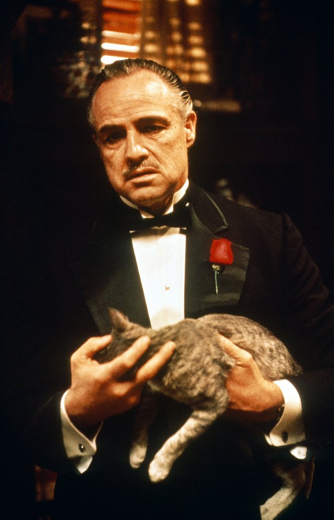 Marlon Brando je bil kot mafijski šef Vito Corleone nepozaben.<br />
FOTO: guliver/cover images