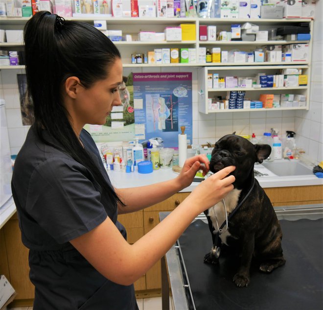 Veterinarka, ki je edina imela odprto pa tudi cepivo v zalogi.