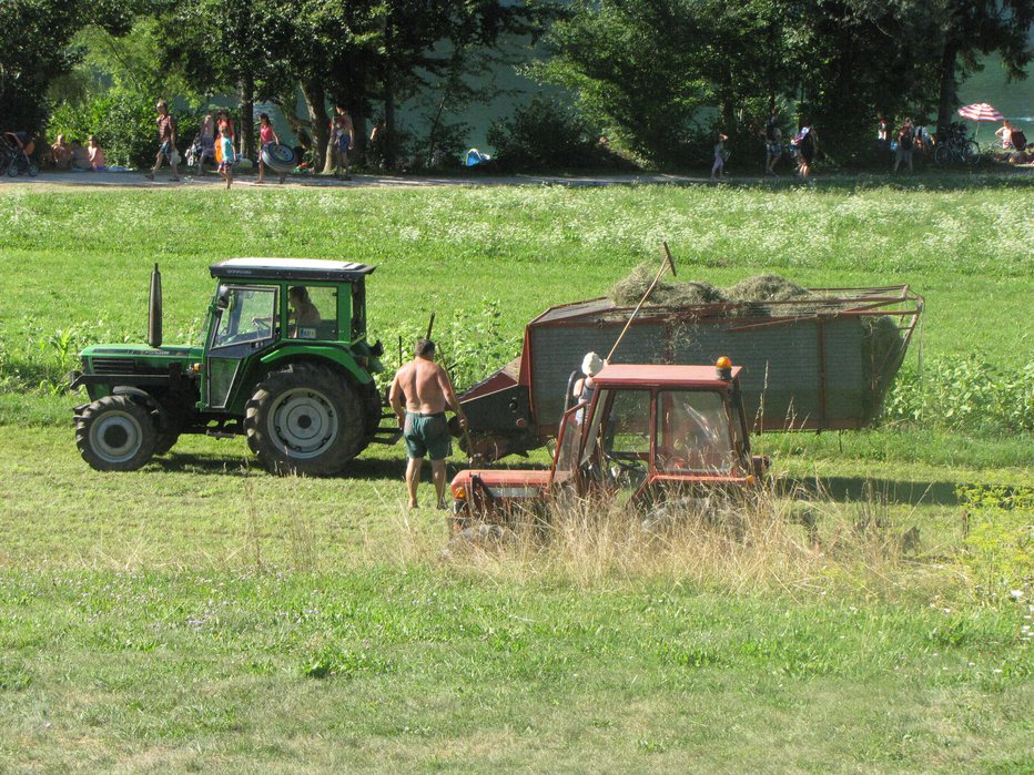 Fotografija: FOTO: Tomaž Poje