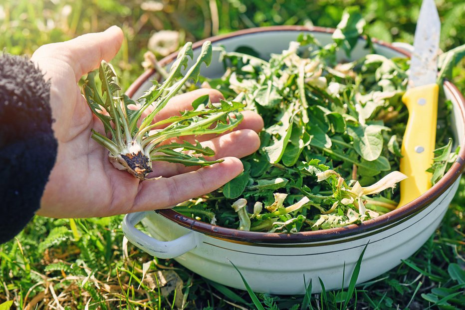 Fotografija: FOTO: Thinkstock, Getty Images, Istockphoto