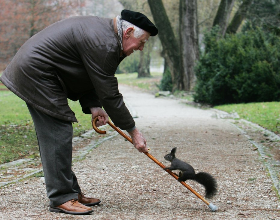 Fotografija: Arhivska fotografija. FOTO: Igor Modic, Delo