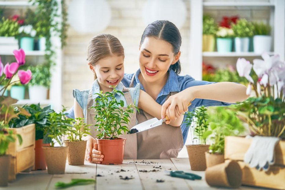 Fotografija: FOTO: Shutterstock