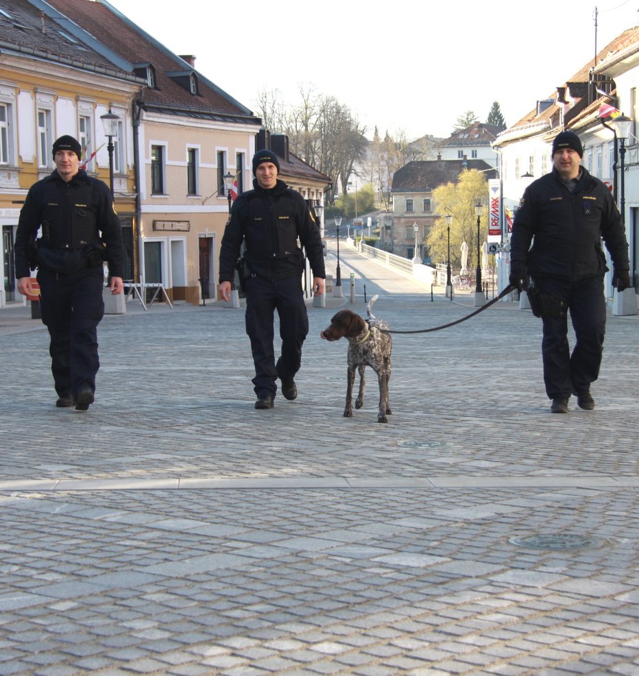 Fotografija: Policija se zahvaljuje. FOTO: PU Novo mesto