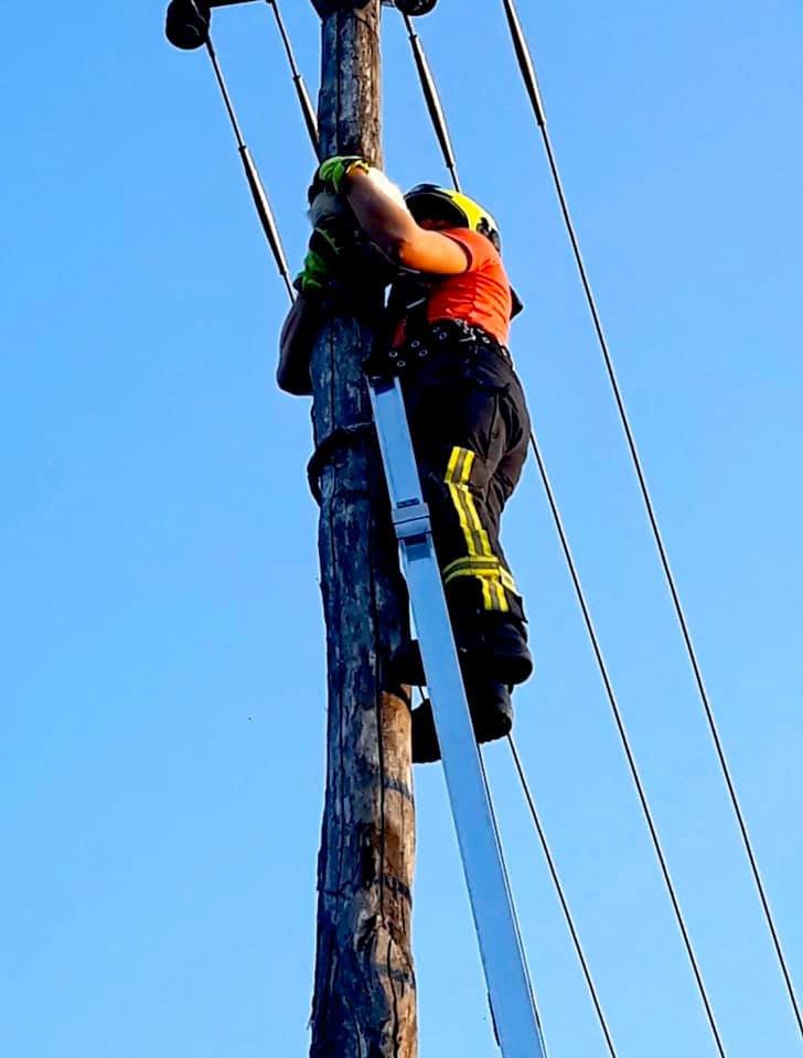 Fotografija: Gasilci so z električnega droga reševali mačka. FOTO: 112 Ptuj