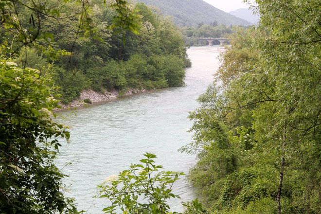 Približno 50 metrov nižje od 29-letnikovega vstopa v Sočo so našli njegovo truplo. FOTO: Marko Feist