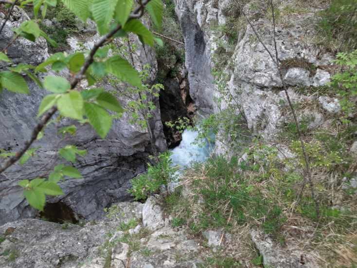 Fotografija: FOTO: PU Nova Gorica