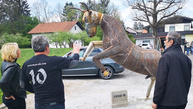 Bi-konj je deležen pozornosti.