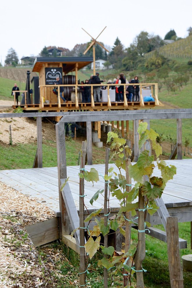 Obvezna postaja na mariborski vinski cesti. FOTO: Osebni arhiv