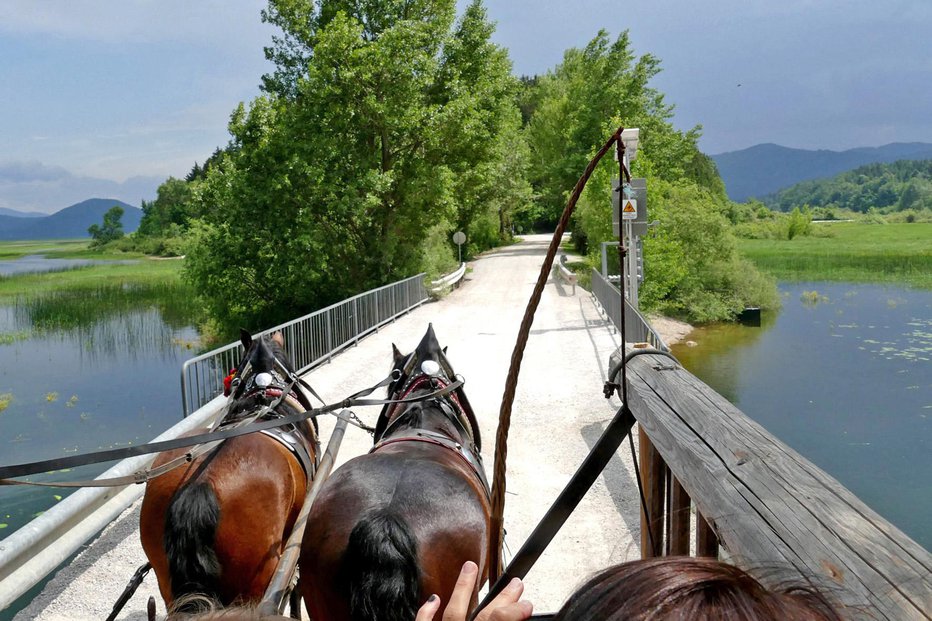 Fotografija: Vožnja z lojtrnikom je vznemirljiva.