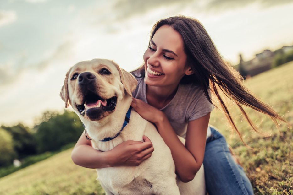 Fotografija: Nedavna raziskava je pokazala, da bi psi rešili svoje lastnike – a včasih ne vedo točno, kako. FOTO: 4 Pm production, Shutterstock