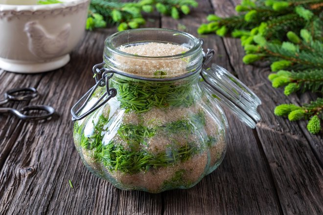 Plasti vršičkov in sladkorja se spremenijo v blagodejni sirup.