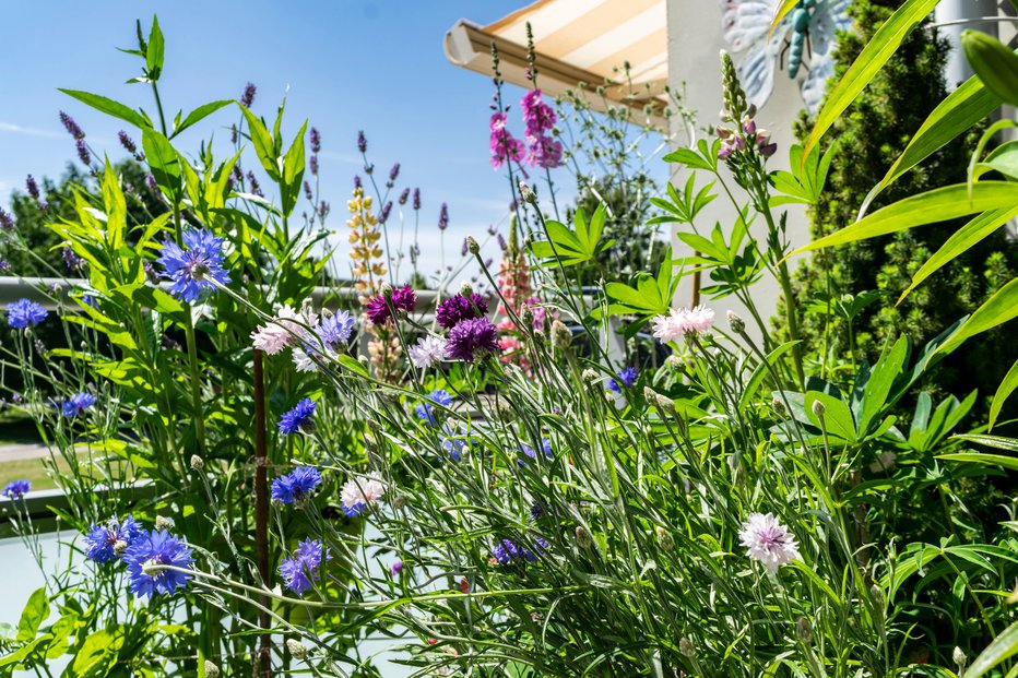 Fotografija: Naj najlepši prizori sezone ne ostanejo samo v vašem spominu, temveč jih fotografirajte in se z njimi potegujte za nagrade. FOTO: Oxana De Ridder, Shutterstock