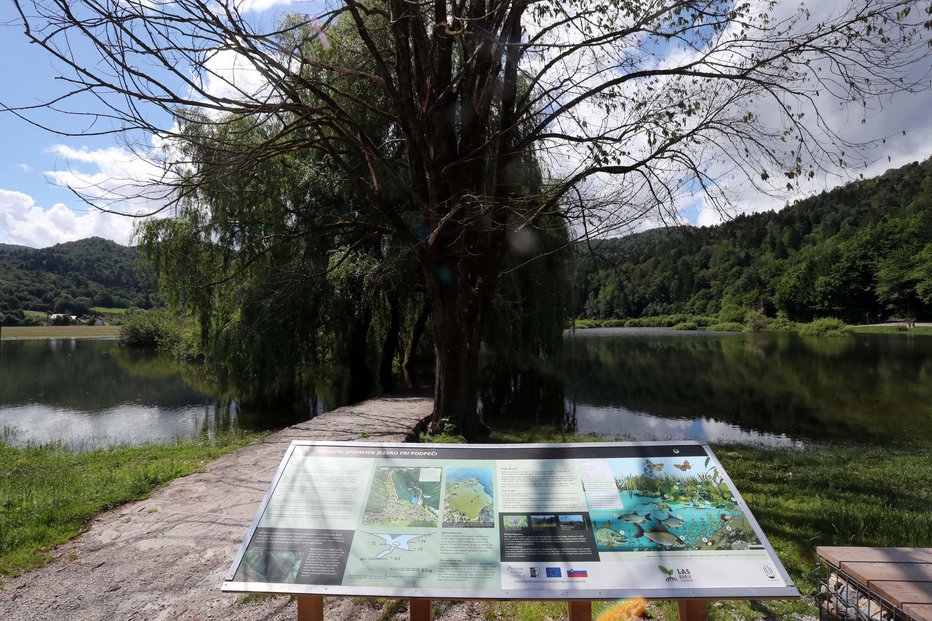 Fotografija: Na brezoviški občini so nam povedali, da bodo v letošnjem letu izvedli dela na velikem pomolu. foto: Igor Mali