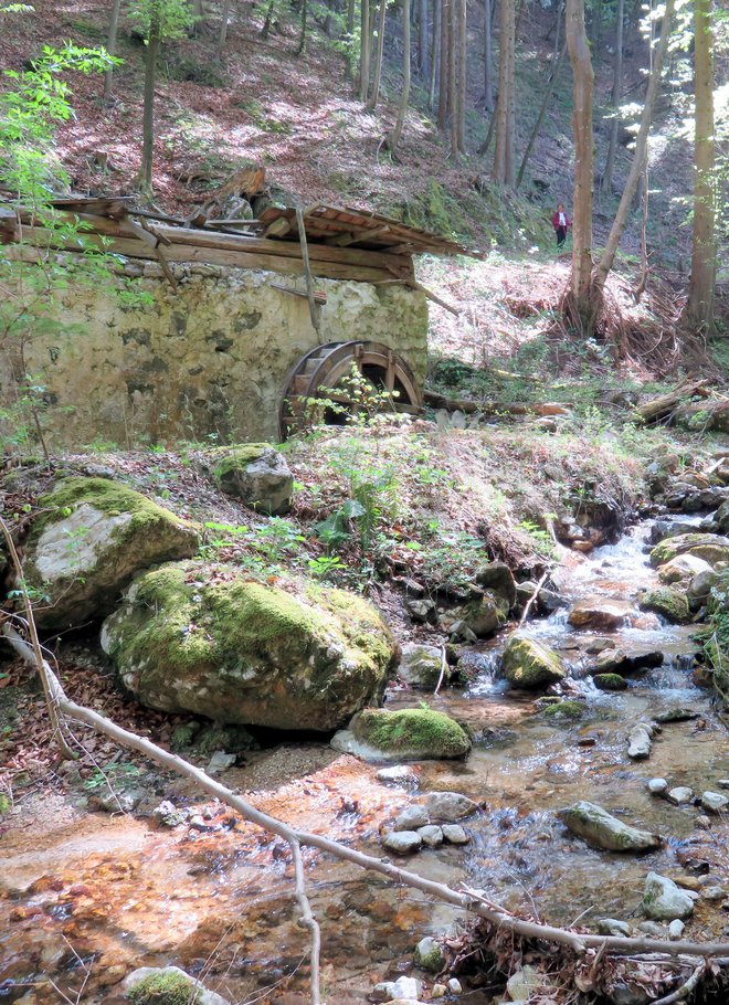 Nekdanja Henrikova in današnja Kozarinova soteska je še vedno vredna ogleda. FOTO: FRANC VEROVNIK