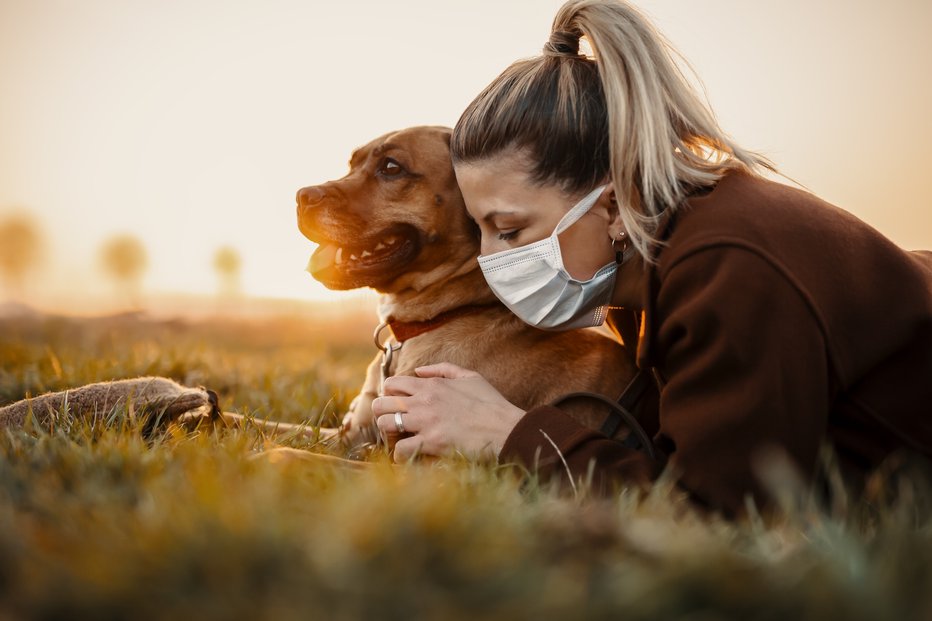 Fotografija: Britanski raziskovalci bodo preučili vpliv »velike antropopavze« na živalski svet. FOTO: Mt-r, Shutterstock