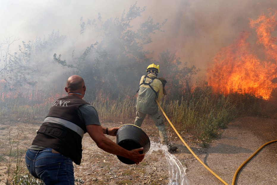 Fotografija: trokovnjaki ocenjujejo, da bo leto 2020 najslabše leto za amazonski pragozd doslej. FOTO: Rafael Marchante Reuters