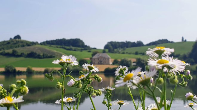 Perniško jezero FOTO: Manca Korelc