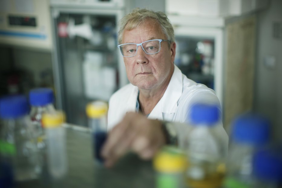 Fotografija: Profesor Borut Štrukelj. FOTO: Jure Eržen, Delo