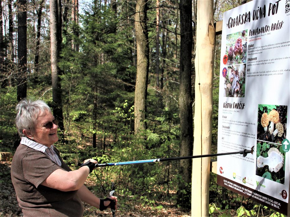 Fotografija: Koristna učilnica sredi gozda FOTOGRAFIJE: Jože Miklavc