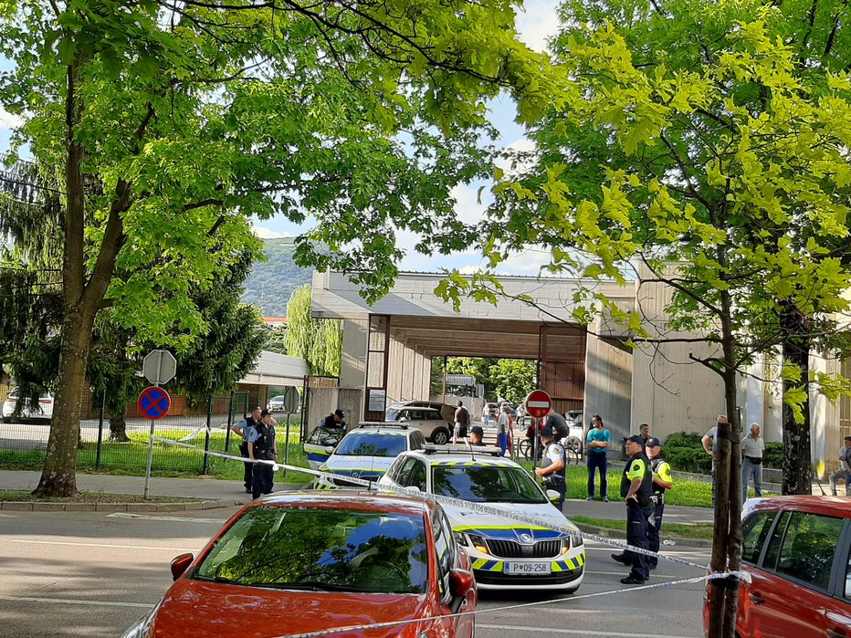 Fotografija: Zaradi streljanja so mimoidoči klicali policijo. FOTO: Sibila Peternelj