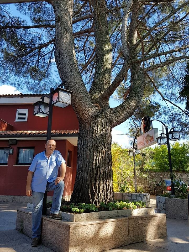 Fotografija: Z oddajo sob je želel le nekaj zaslužiti, se zagovarja. FOTO: Facebook