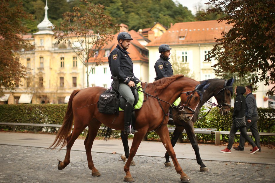 Fotografija: FOTO: Jure Eržen, Delo