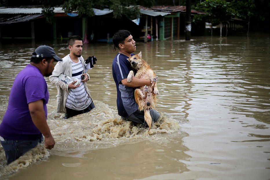 Fotografija: Bežijo, a ne vedo, kam. FOTO: Jorge Cabrera/Reuters