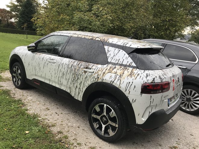 Popackali so tudi slabo poldrugo leto starega citroëna. FOTOgrafiji: Osebni Arhiv