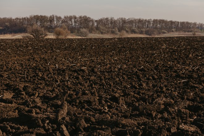 Marsikje v teh dneh kmetovalci na travnike in polja trosijo organska gnojila. FOTO: Glebchik/Getty Images