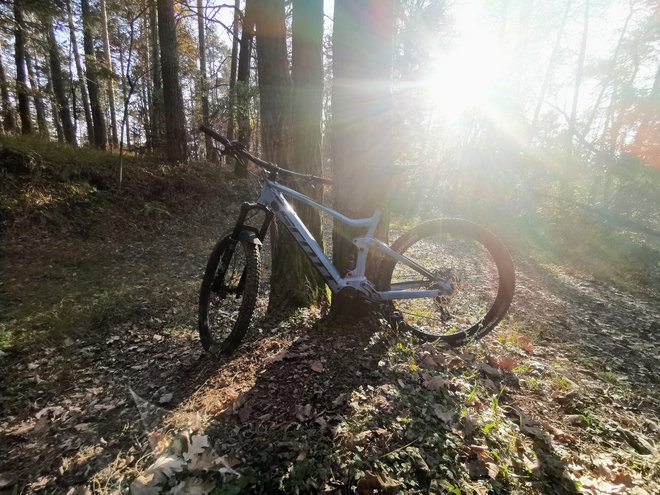 Iskanje poti v domači občini je lahko prav zanimivo. FOTOGRAFIJE: Staš Ivanc