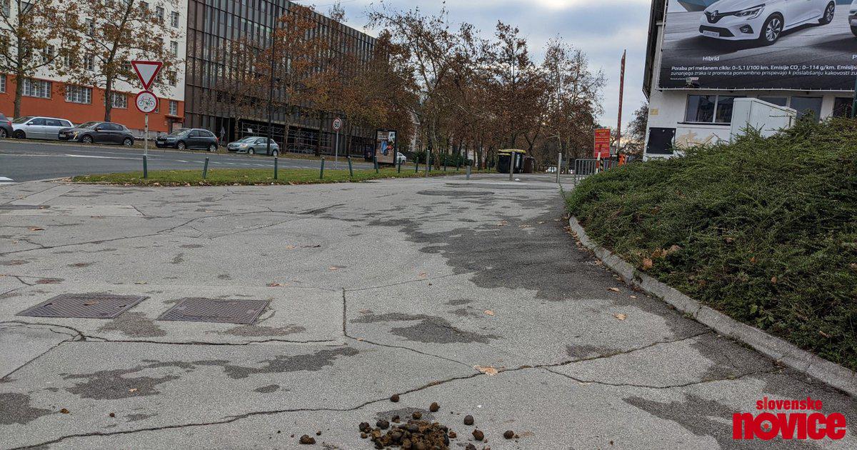 Iztrebki Sredi Ljubljane (FOTO) - Slovenske Novice