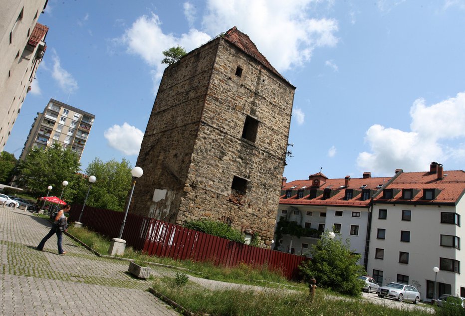 Fotografija: Našli so jo na območju Maribora. FOTO: Tadej Regent