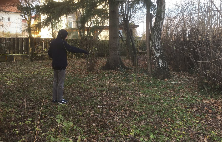 Fotografija: Jože Biščak nam je pokazal kako ga je pod drevesi na ograjenem dvorišču pričakal podivjani pes. FOTO: Jaroslav Jankovič