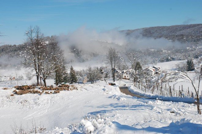 Ni čudno, da so podritniki tako topli, saj se belokranjske pramenke s svojo volno zlahka prebijajo skozi najhujše zime. FOTO: KP Kolpa