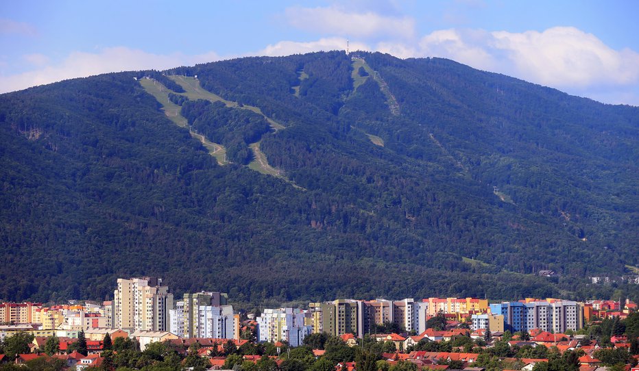 Fotografija: FOTO: Tadej Regent