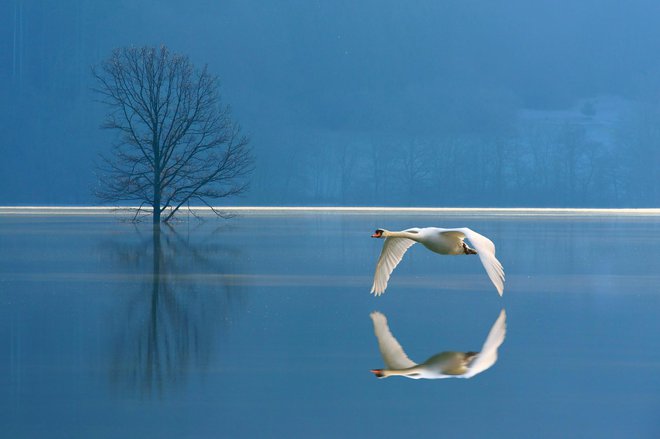 Njegove fotografije so bile doma in v tujini večkrat nagrajene. FOTO: Aleksander Čufar