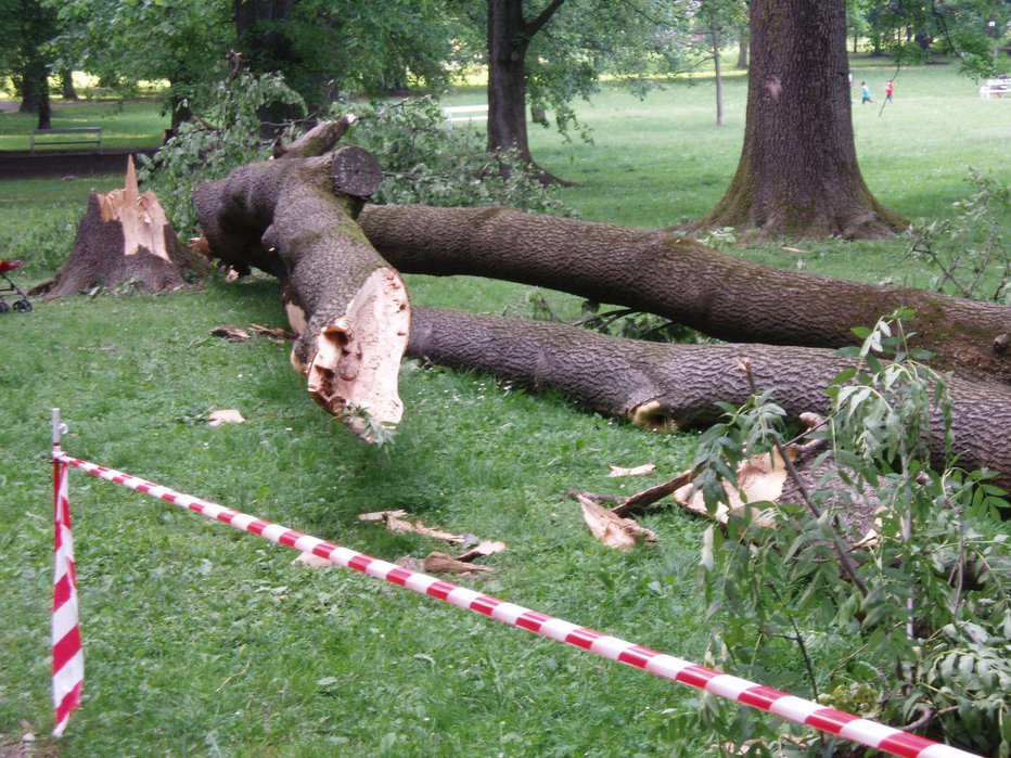 Fotografija: Simbolična fotografija. FOTO: Urban Červek