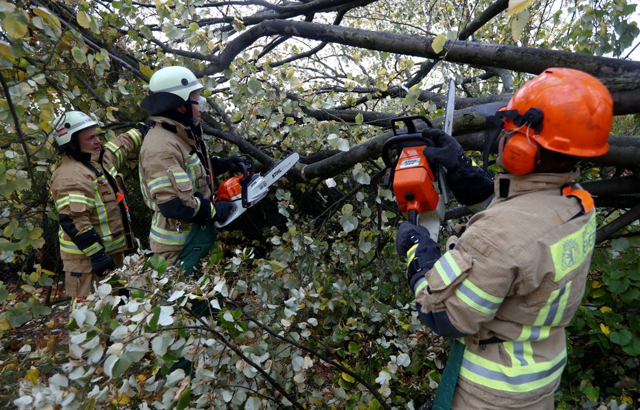 Fotografija: Simbolična fotografija. FOTO: Reuters