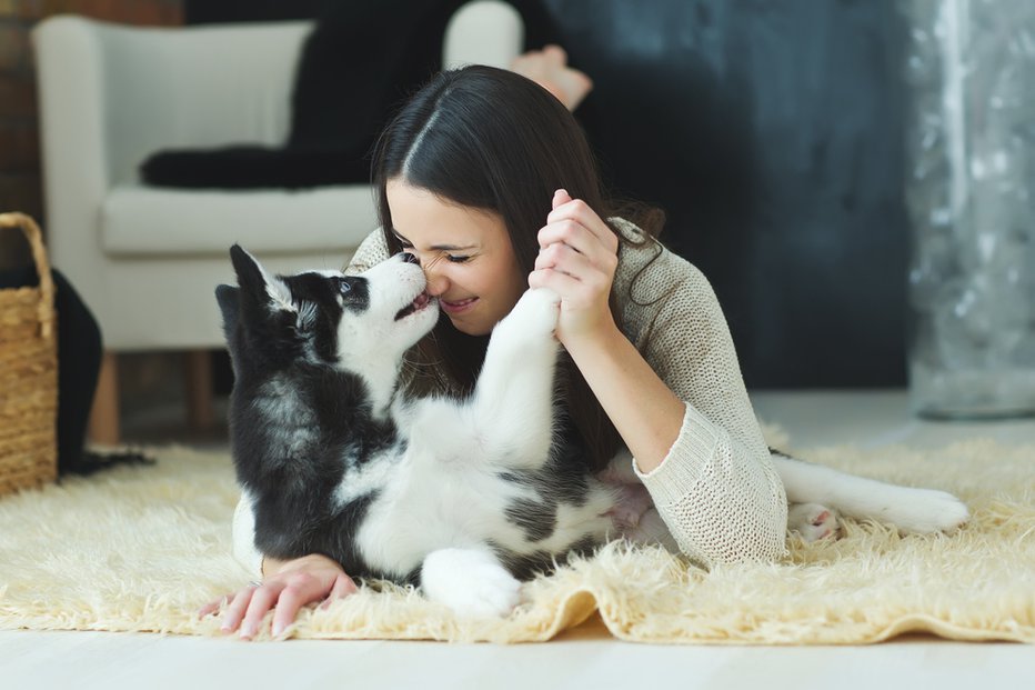 Fotografija: Ste se kdaj vprašali, kaj vam poskuša pes povedati? Vztraja in vztraja, vi pa ga še vedno ne razumete ... FOTO: Shutterstock