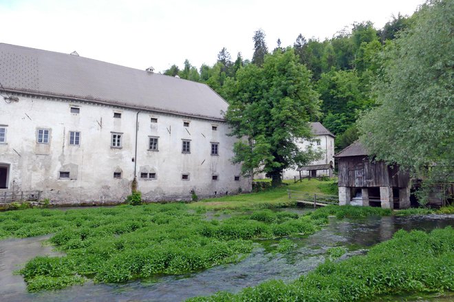 Prve zbirke TMS so odprle vrata javnosti leta 1953. Foto: Primož Hieng