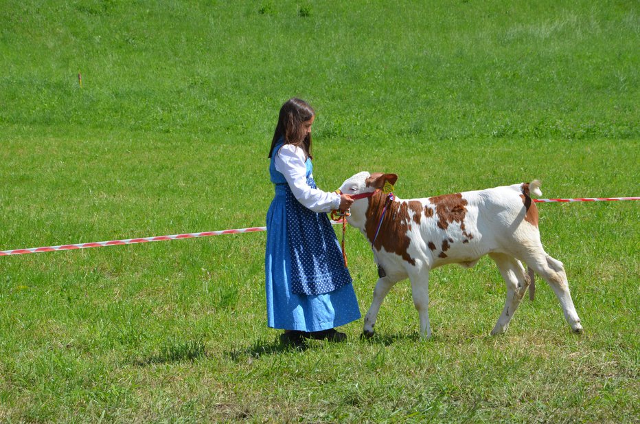 Fotografija: Otroci so se predstavljali s telički. FOTO: Marija Bokal