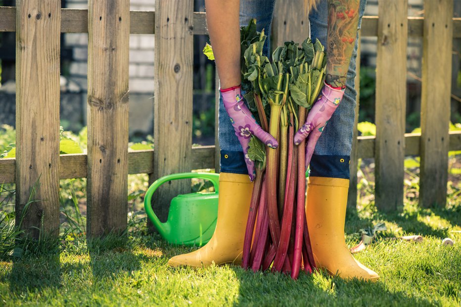 Fotografija: V biodinamičnem setvenem koledarju Marije Thun so podatki o primernem času za delo z rastlinami na voljo za vsak dan posebej. FOTO: Shutterstock