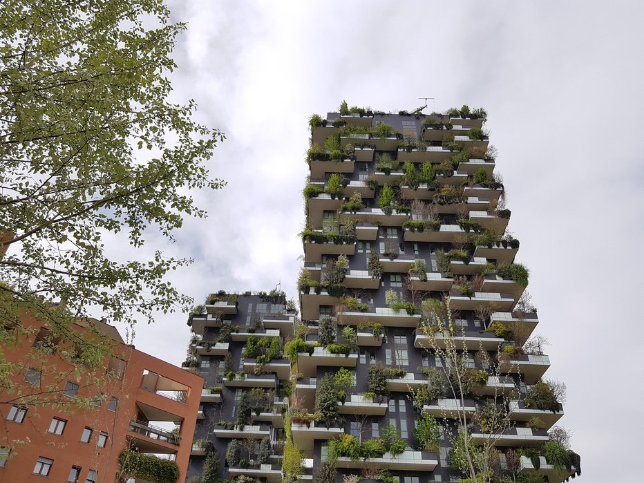 Fotografija: Ozelenjeni stolpnici Bosco Verticale v Milanu. FOTO: Aleksandra Zorko