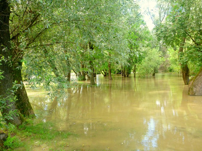 Občine porečja Mure, Drave in Donave sodelujejo od leta 2017 pod okriljem iniciative coopMDD, zadruga Mura-Drava-Donava, z namenom uresničevanja zastavljenih skupnih ciljev in čezmejnem varovanju narave.  FOTO: Aleksander Koren