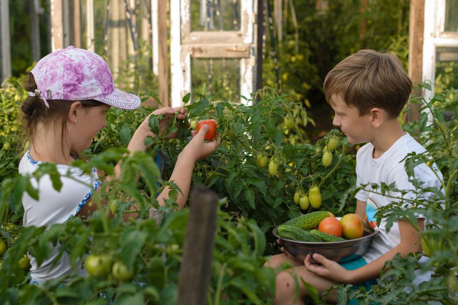 Fotografija: Kaj prinaša mesec avgust? FOTO: Shutterstock