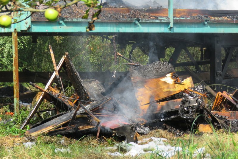 Fotografija: Žalosten je lastnik čebelnjaka in tudi drugi ljubitelji živali, saj so poginili milijoni pridnih čebelic. FOTO: Oste Bakal