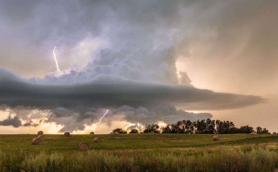 Fotografija: Simbolična fotografija. FOTO: Robynleigh, Getty Images, Istockphoto