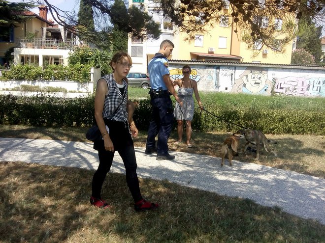 Kljub vsemu, kar so preživeli, se je na rešenih psih videlo, da imajo svojo lastnico radi. FOTO: Milan Petrovič